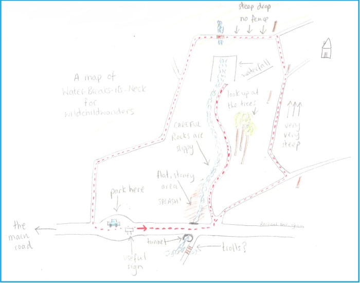 WaterBreakItsNEck DrawnMap.jpg