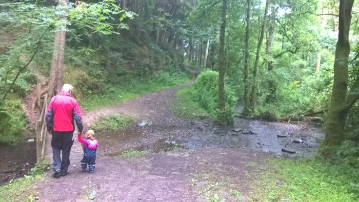 WP_20160726_17_49_48_Pro