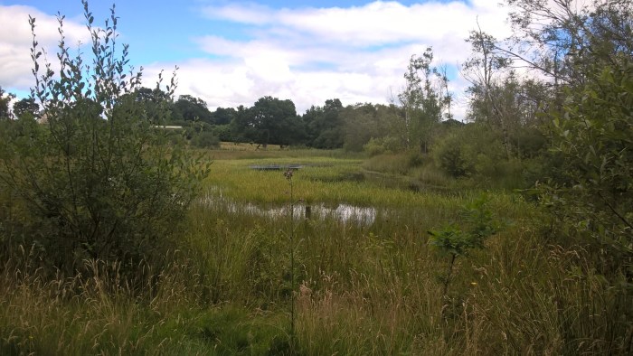 WP_20160727_13_40_32_Pro