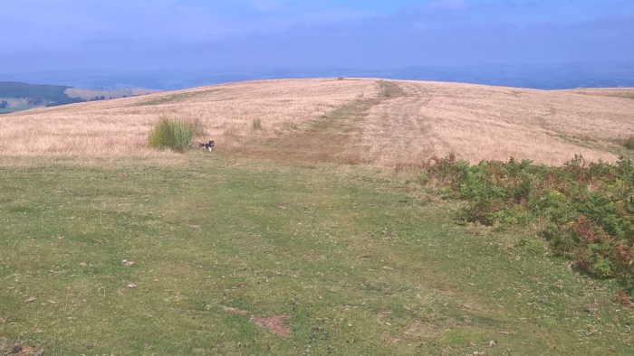 WP_20160817_11_25_27_Pro