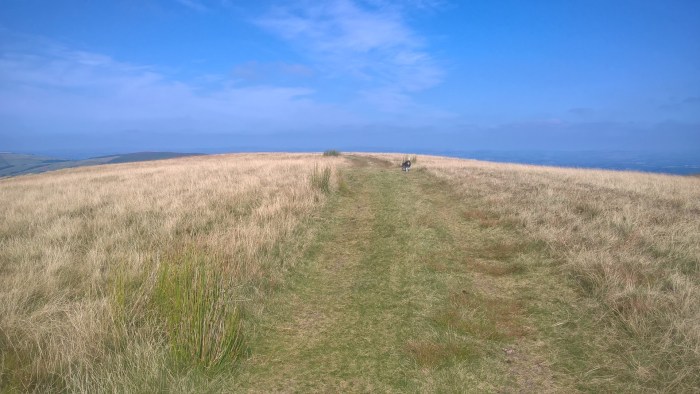 WP_20160817_11_30_38_Pro