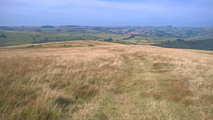 WP_20160817_11_32_59_Pro