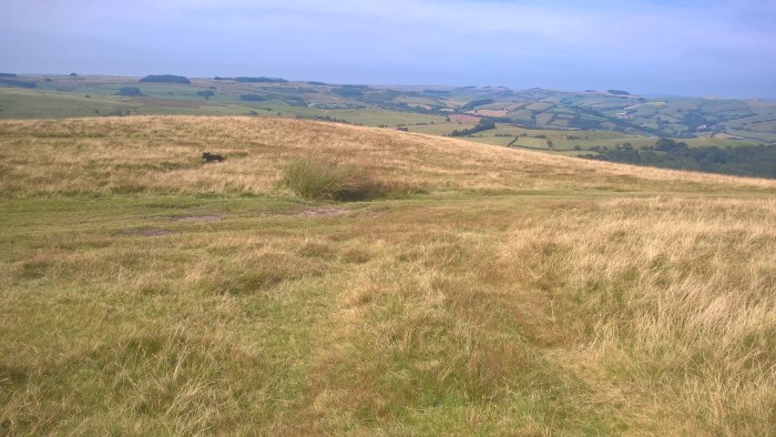 WP_20160817_11_34_15_Pro