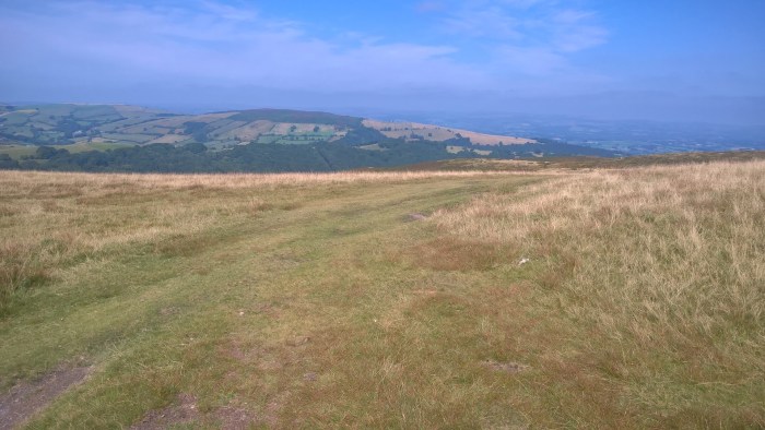 WP_20160817_11_34_25_Pro