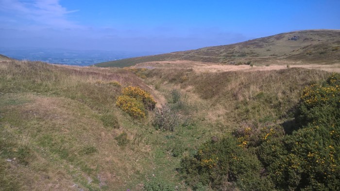 WP_20160817_12_00_46_Pro