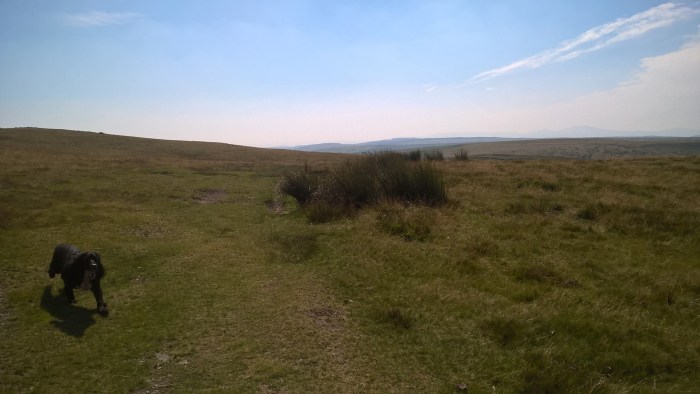 WP_20160817_12_27_54_Pro