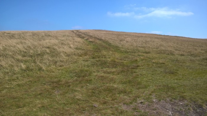 WP_20160817_12_28_08_Pro