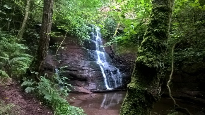 WP_20160822_12_36_27_Pro