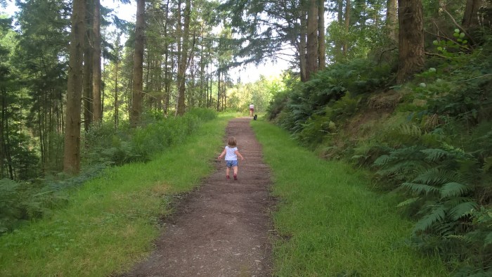 WP_20160830_12_13_12_Pro