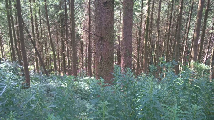 WP_20160830_12_13_27_Pro