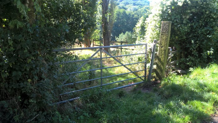 wp_20160908_11_20_27_pro