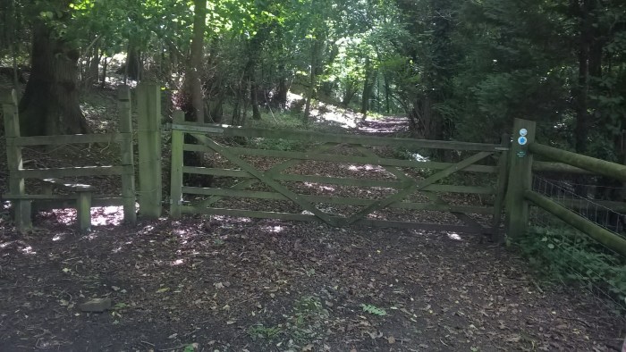 wp_20160908_11_27_59_pro