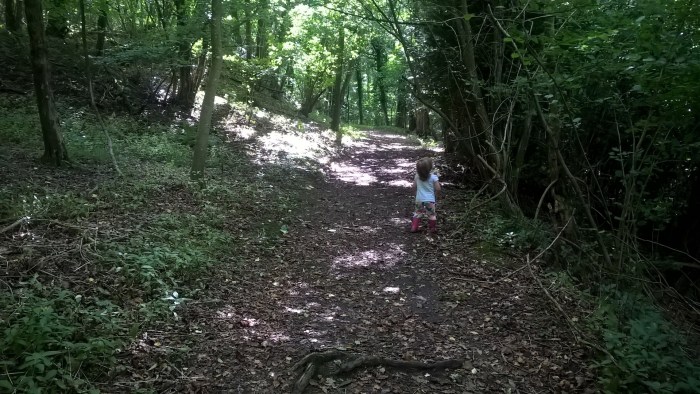 wp_20160908_11_28_33_pro