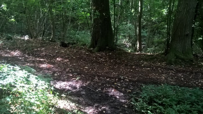 wp_20160908_11_30_28_pro