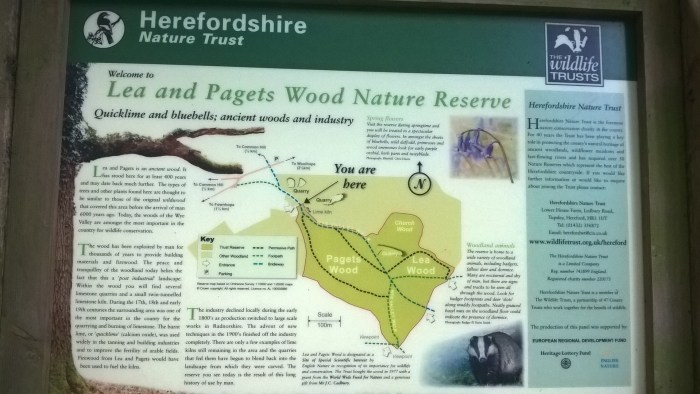 wp_20160908_11_31_03_pro