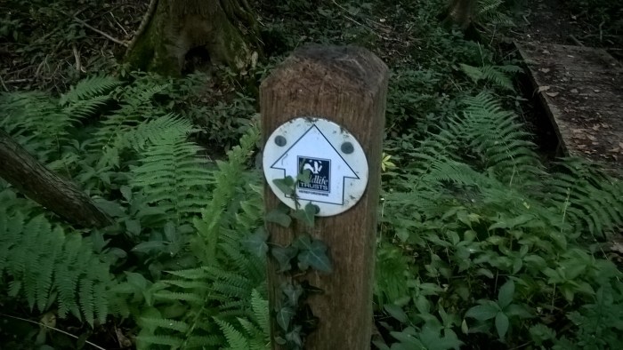 wp_20160908_11_32_33_pro