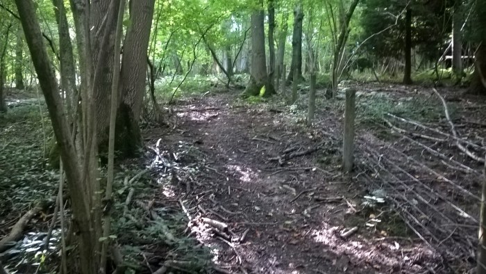 wp_20160908_11_33_14_pro