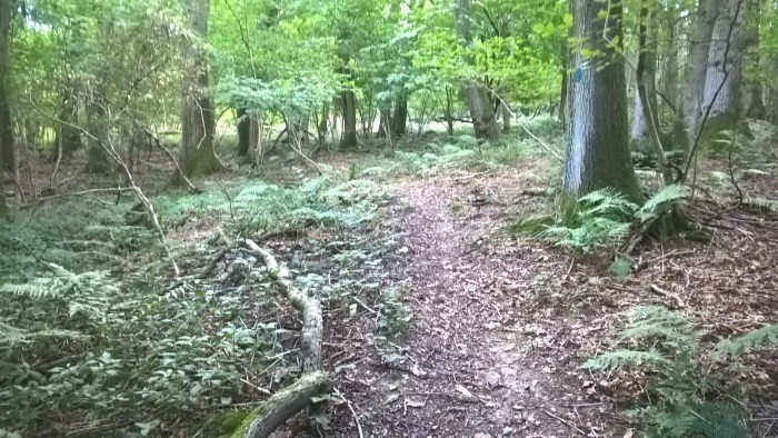 wp_20160908_11_33_56_pro