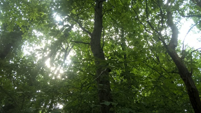 wp_20160908_11_35_16_pro