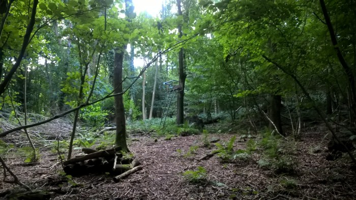 wp_20160908_11_38_46_pro