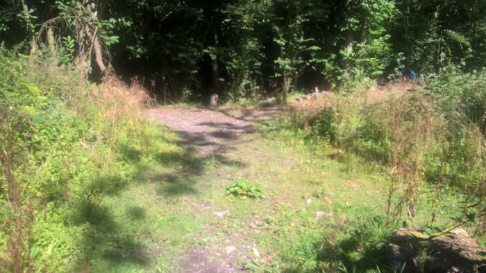 wp_20160908_11_55_27_pro