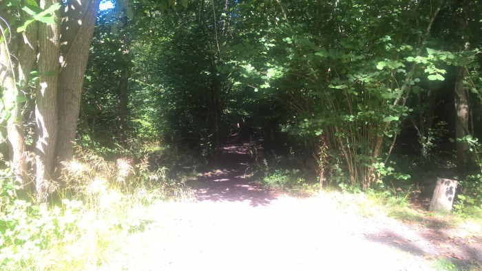 wp_20160908_11_56_01_pro