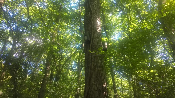 wp_20160908_12_00_32_pro