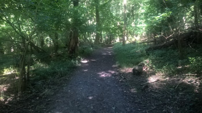 wp_20160908_12_01_38_pro