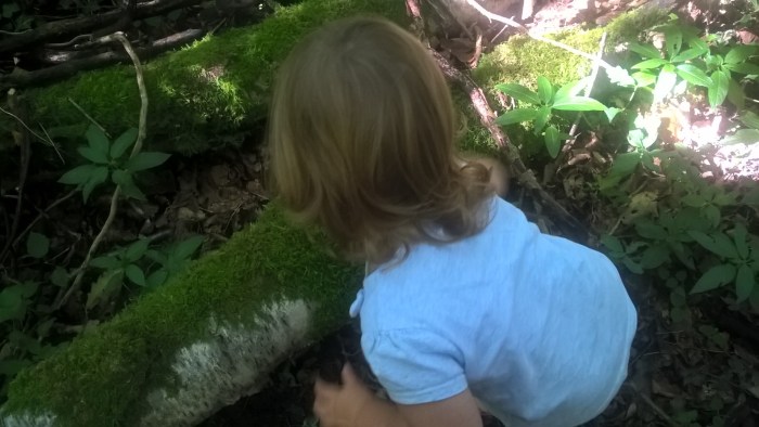 wp_20160908_12_02_52_pro