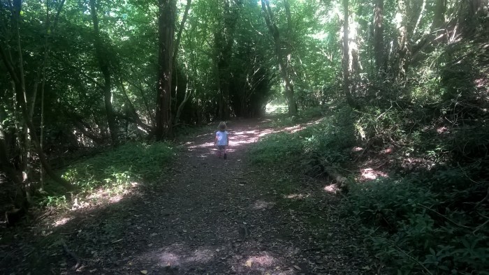 wp_20160908_12_09_13_pro