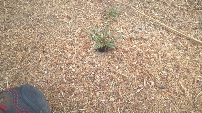 wp_20160922_10_26_01_pro