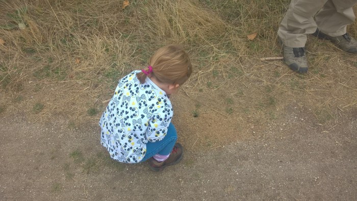 wp_20160922_10_26_49_pro