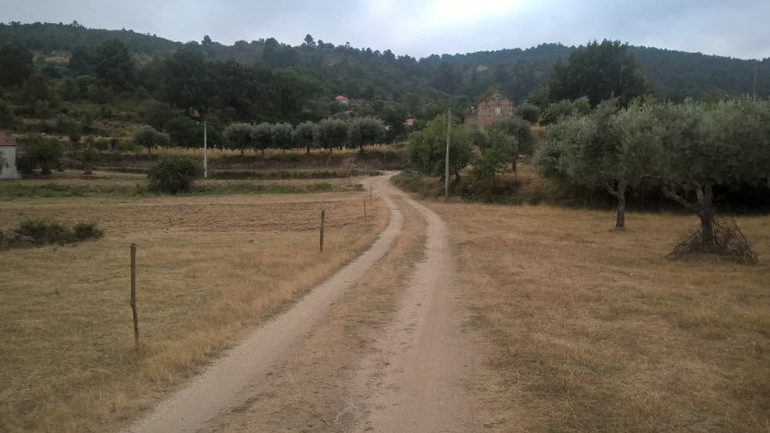 wp_20160922_10_29_30_pro