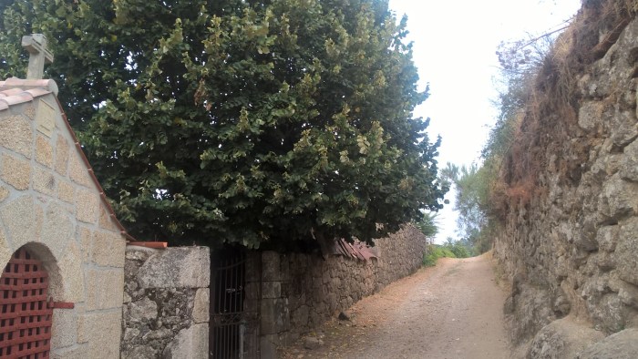 wp_20160922_10_37_38_pro