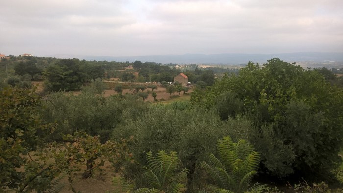 wp_20160922_10_41_37_pro