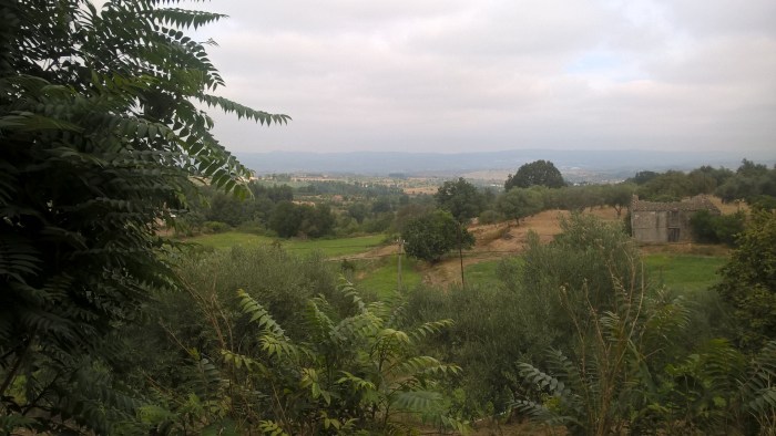 wp_20160922_10_43_58_pro