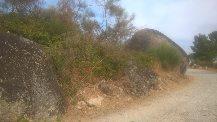 wp_20160922_11_11_17_pro