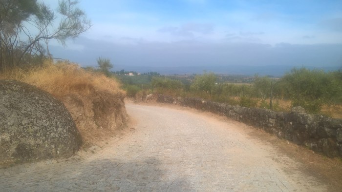 wp_20160922_11_14_52_pro