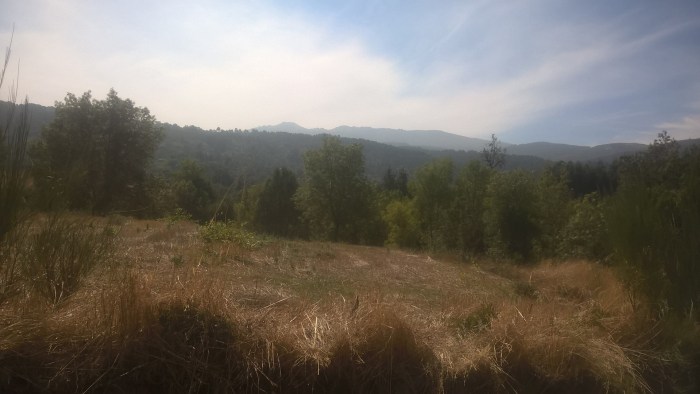 wp_20160922_12_36_51_pro