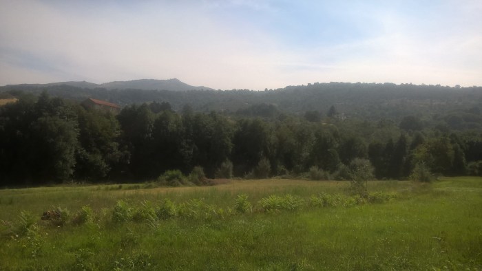 wp_20160922_12_40_02_pro