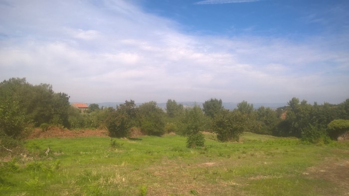 wp_20160922_12_40_06_pro