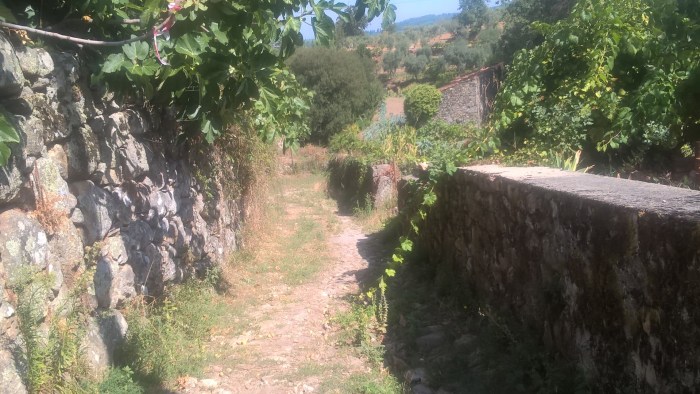 wp_20160922_12_58_42_pro