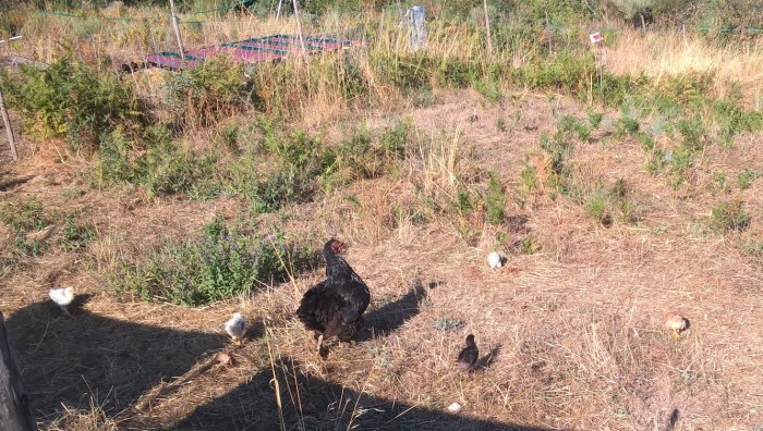 wp_20160923_10_14_17_pro