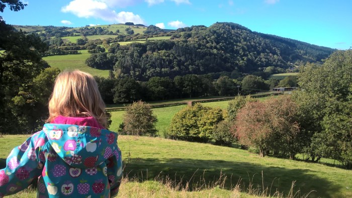 wp_20161002_13_07_04_pro