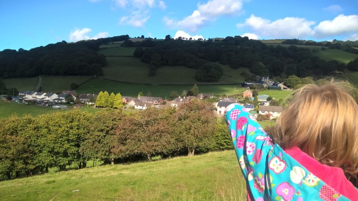 wp_20161002_13_07_21_pro