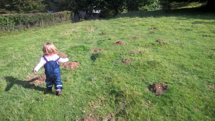 wp_20161002_13_11_05_pro