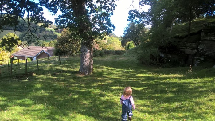 wp_20161002_13_12_30_pro