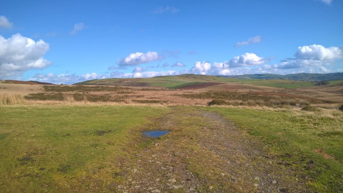 wp_20161016_11_50_15_pro