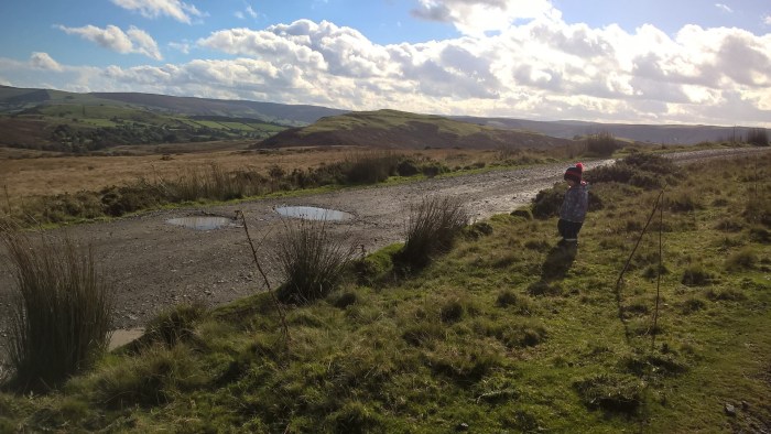 wp_20161016_11_53_09_pro