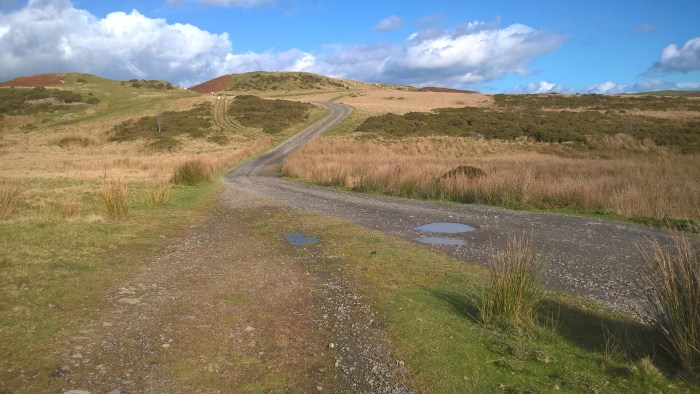 wp_20161016_11_53_22_pro